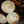 Mince Pie