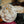 Mince Pie