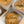 Turkey, Leek & Gammon Pie